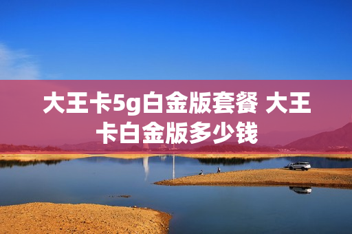 大王卡5g白金版套餐 大王卡白金版多少钱