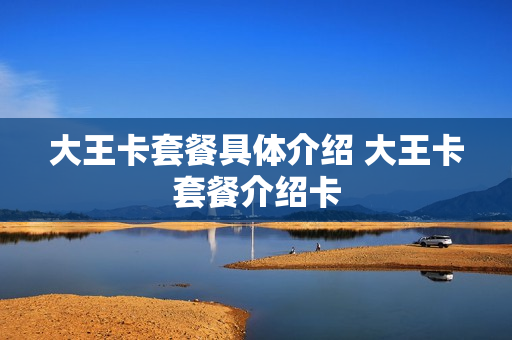 大王卡套餐具体介绍 大王卡套餐介绍卡