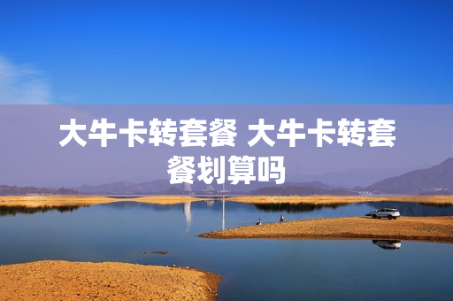 大牛卡转套餐 大牛卡转套餐划算吗