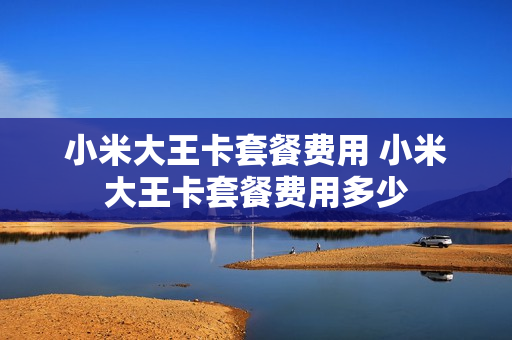 小米大王卡套餐费用 小米大王卡套餐费用多少