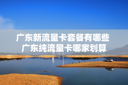 广东新流量卡套餐有哪些 广东纯流量卡哪家划算