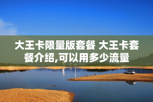 大王卡限量版套餐 大王卡套餐介绍,可以用多少流量