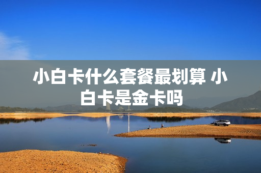 小白卡什么套餐最划算 小白卡是金卡吗