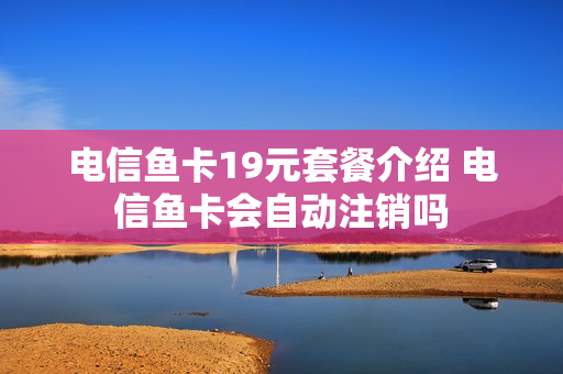 电信鱼卡19元套餐介绍 电信鱼卡会自动注销吗