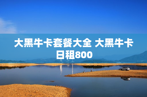 大黑牛卡套餐大全 大黑牛卡日租800