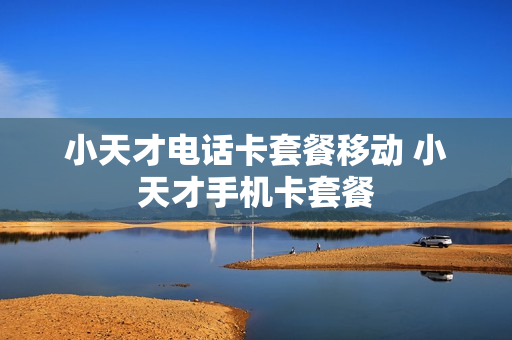 小天才电话卡套餐移动 小天才手机卡套餐