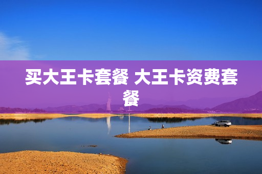 买大王卡套餐 大王卡资费套餐