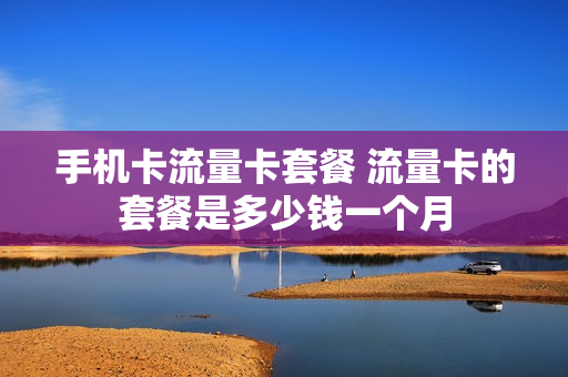 手机卡流量卡套餐 流量卡的套餐是多少钱一个月
