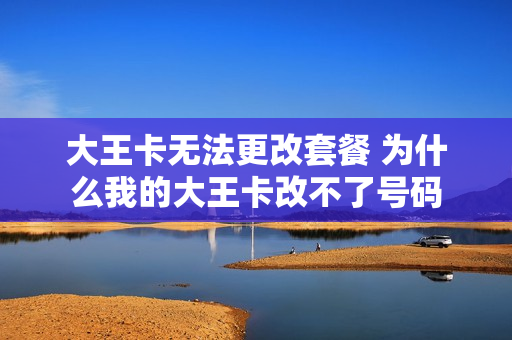 大王卡无法更改套餐 为什么我的大王卡改不了号码