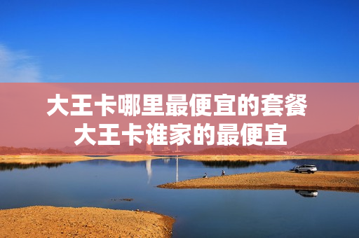 大王卡哪里最便宜的套餐 大王卡谁家的最便宜