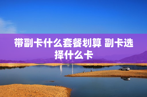 带副卡什么套餐划算 副卡选择什么卡