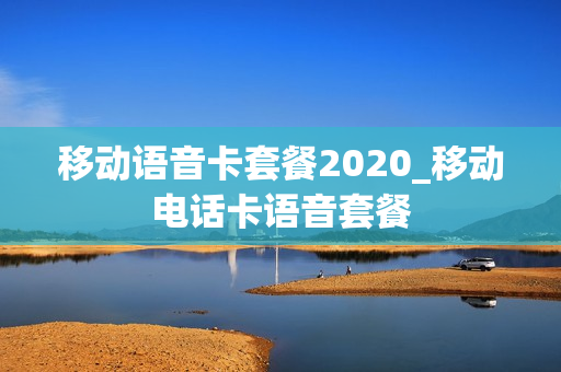 移动语音卡套餐2020_移动电话卡语音套餐
