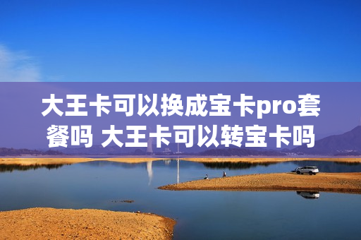 大王卡可以换成宝卡pro套餐吗 大王卡可以转宝卡吗