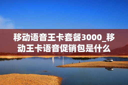 移动语音王卡套餐3000_移动王卡语音促销包是什么