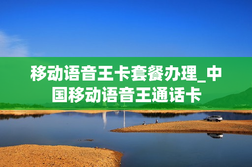 移动语音王卡套餐办理_中国移动语音王通话卡