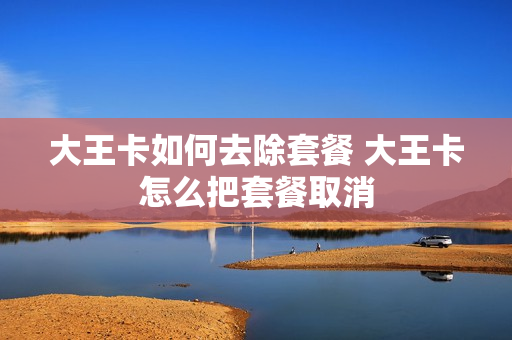 大王卡如何去除套餐 大王卡怎么把套餐取消