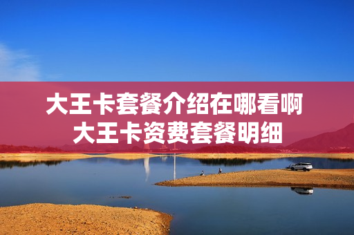 大王卡套餐介绍在哪看啊 大王卡资费套餐明细