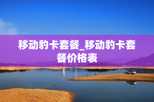 移动豹卡套餐_移动豹卡套餐价格表