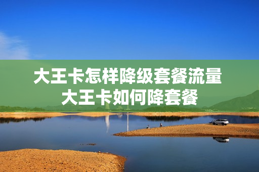 大王卡怎样降级套餐流量 大王卡如何降套餐