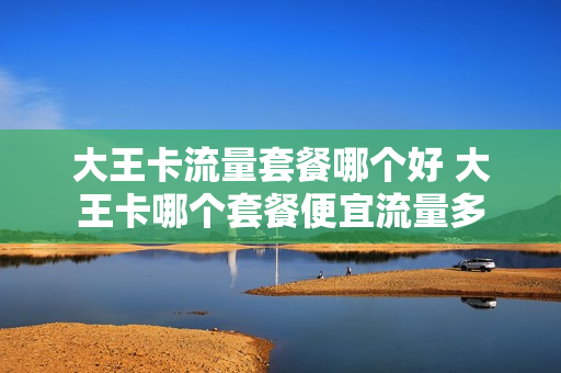 大王卡流量套餐哪个好 大王卡哪个套餐便宜流量多