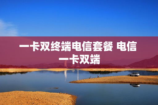 一卡双终端电信套餐 电信 一卡双端