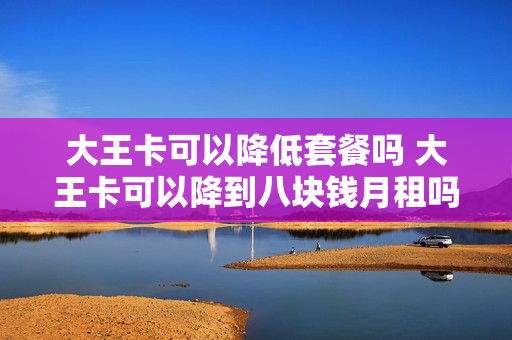 大王卡可以降低套餐吗 大王卡可以降到八块钱月租吗
