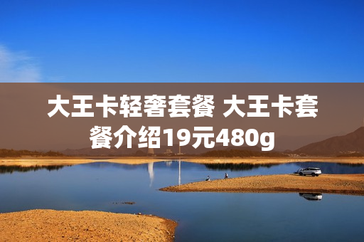 大王卡轻奢套餐 大王卡套餐介绍19元480g
