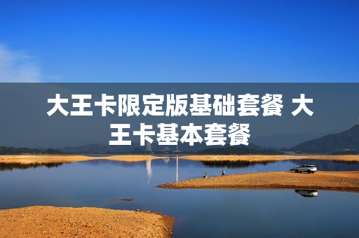 大王卡限定版基础套餐 大王卡基本套餐