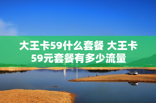大王卡59什么套餐 大王卡59元套餐有多少流量