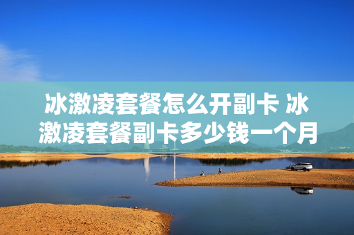 冰激凌套餐怎么开副卡 冰激凌套餐副卡多少钱一个月