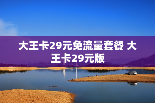 大王卡29元免流量套餐 大王卡29元版