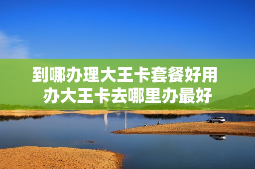 到哪办理大王卡套餐好用 办大王卡去哪里办最好