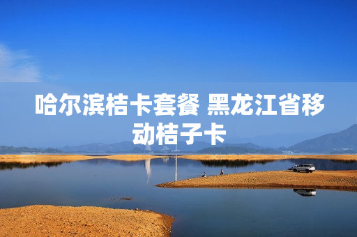 哈尔滨桔卡套餐 黑龙江省移动桔子卡