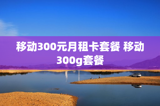 移动300元月租卡套餐 移动300g套餐