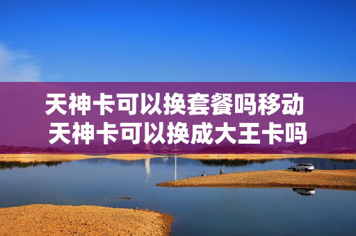 天神卡可以换套餐吗移动 天神卡可以换成大王卡吗