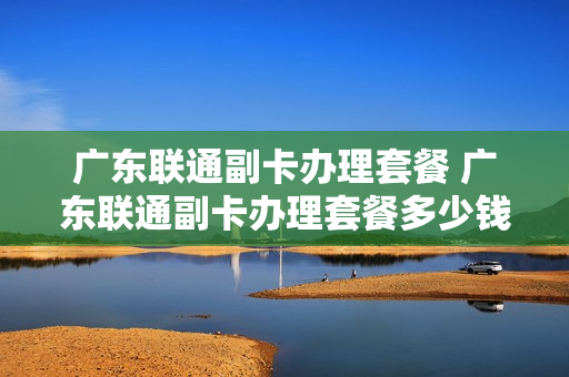 广东联通副卡办理套餐 广东联通副卡办理套餐多少钱