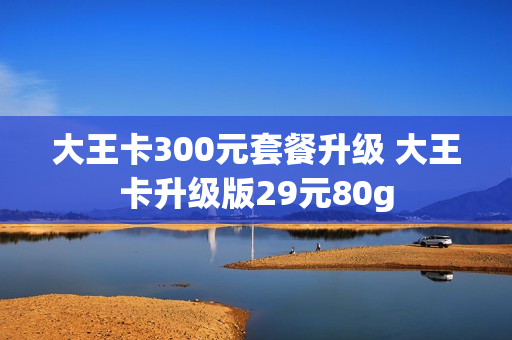 大王卡300元套餐升级 大王卡升级版29元80g