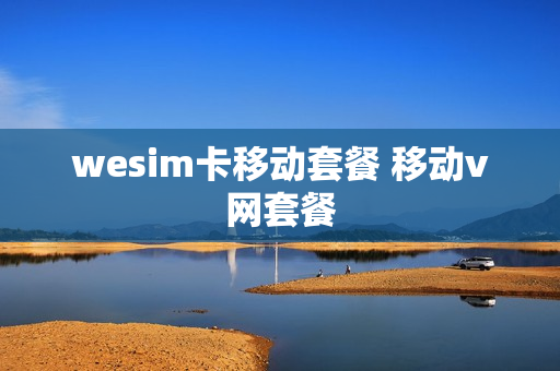 wesim卡移动套餐 移动v网套餐