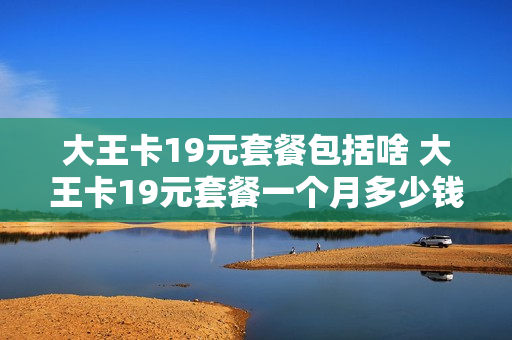 大王卡19元套餐包括啥 大王卡19元套餐一个月多少钱