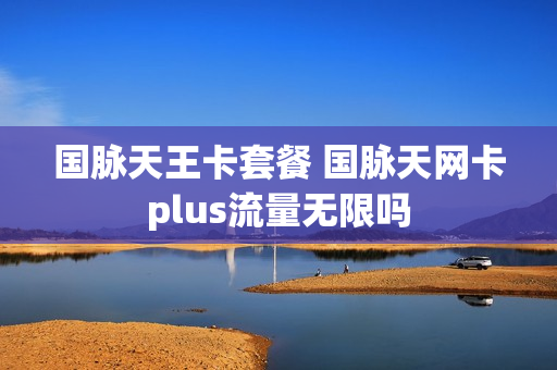 国脉天王卡套餐 国脉天网卡plus流量无限吗