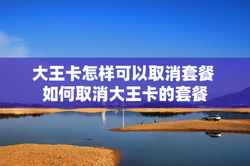 大王卡怎样可以取消套餐 如何取消大王卡的套餐