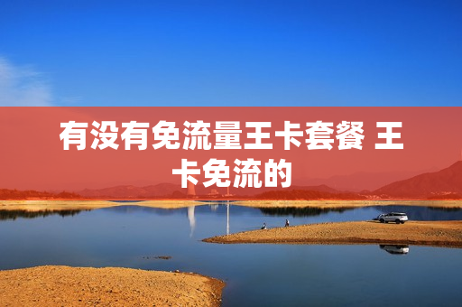 有没有免流量王卡套餐 王卡免流的
