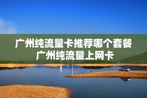 广州纯流量卡推荐哪个套餐 广州纯流量上网卡