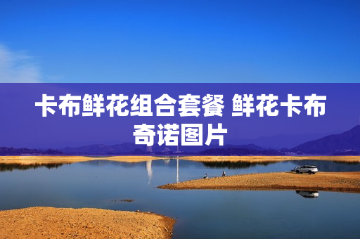 卡布鲜花组合套餐 鲜花卡布奇诺图片