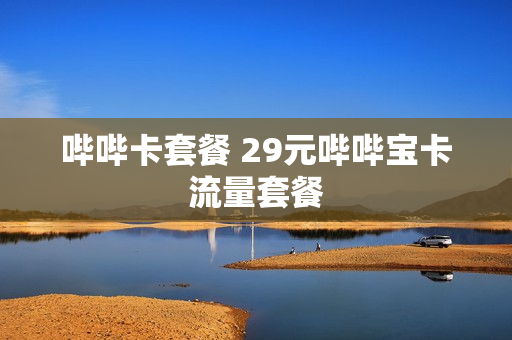 哔哔卡套餐 29元哔哔宝卡流量套餐