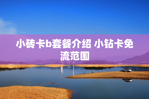 小砖卡b套餐介绍 小钻卡免流范围