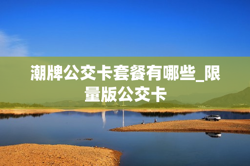 潮牌公交卡套餐有哪些_限量版公交卡