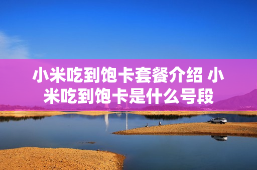 小米吃到饱卡套餐介绍 小米吃到饱卡是什么号段