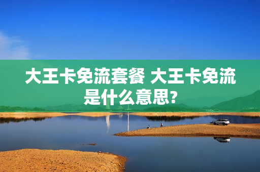 大王卡免流套餐 大王卡免流是什么意思?