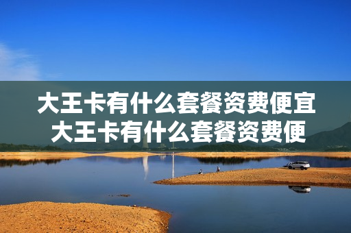 大王卡有什么套餐资费便宜 大王卡有什么套餐资费便宜的